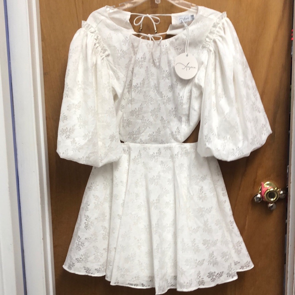 White Bateau Neck, Puff Sleeve Dress